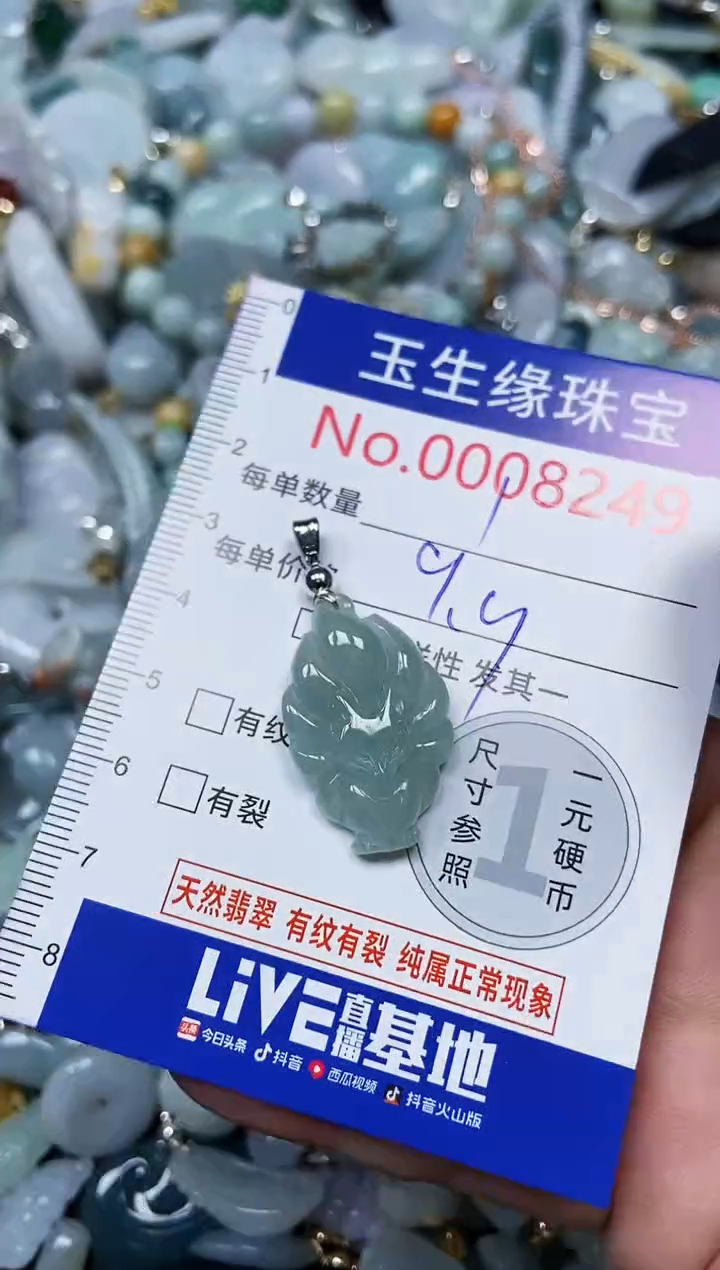 【闪购商品】翡翠颈饰未镶嵌闪购00008250