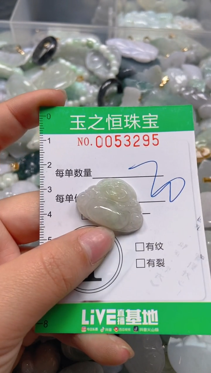 【闪购商品】翡翠颈饰未镶嵌闪购0053294