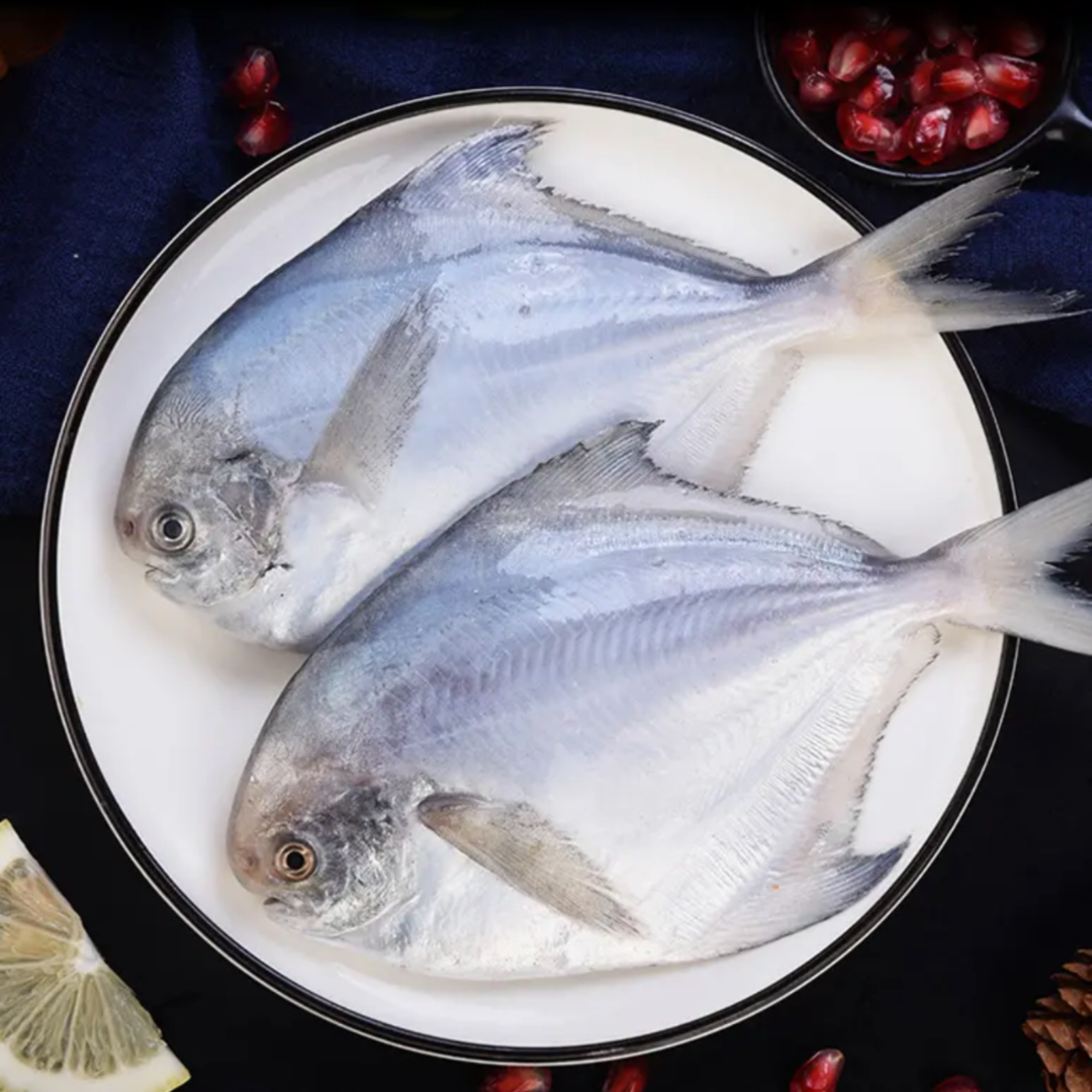 【小鱼儿】银鲳鱼 500克/包*5包 海平鱼 5条/斤 鱼肉细腻 清蒸红烧 