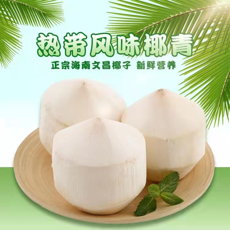 【粉丝专享】新鲜热带风味海南椰子