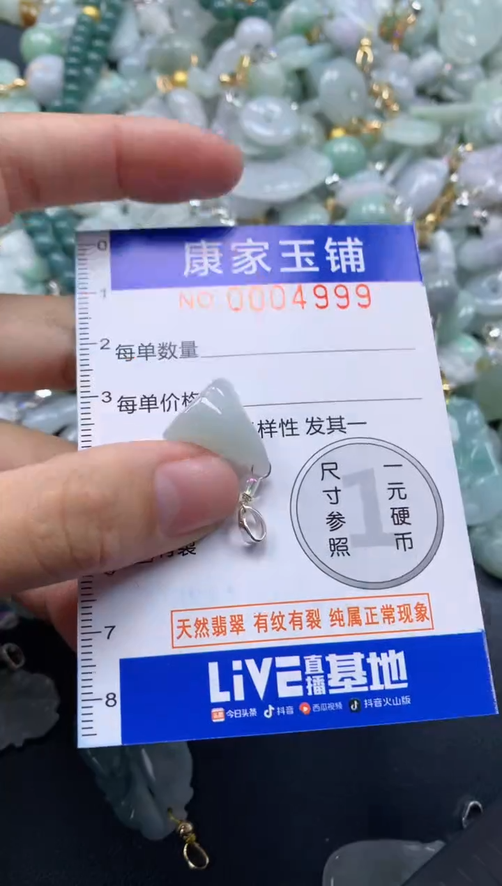 颈饰未镶嵌翡翠4999