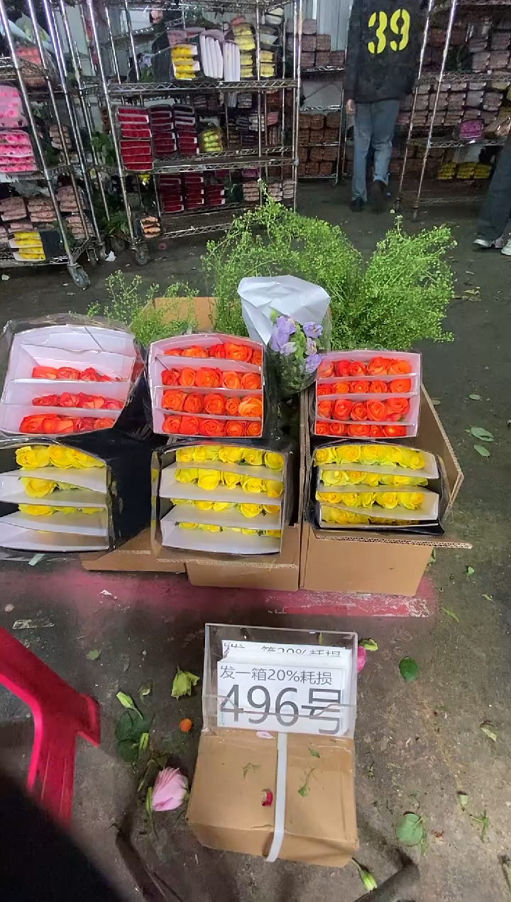 496号♥含20%耗损发一箱
