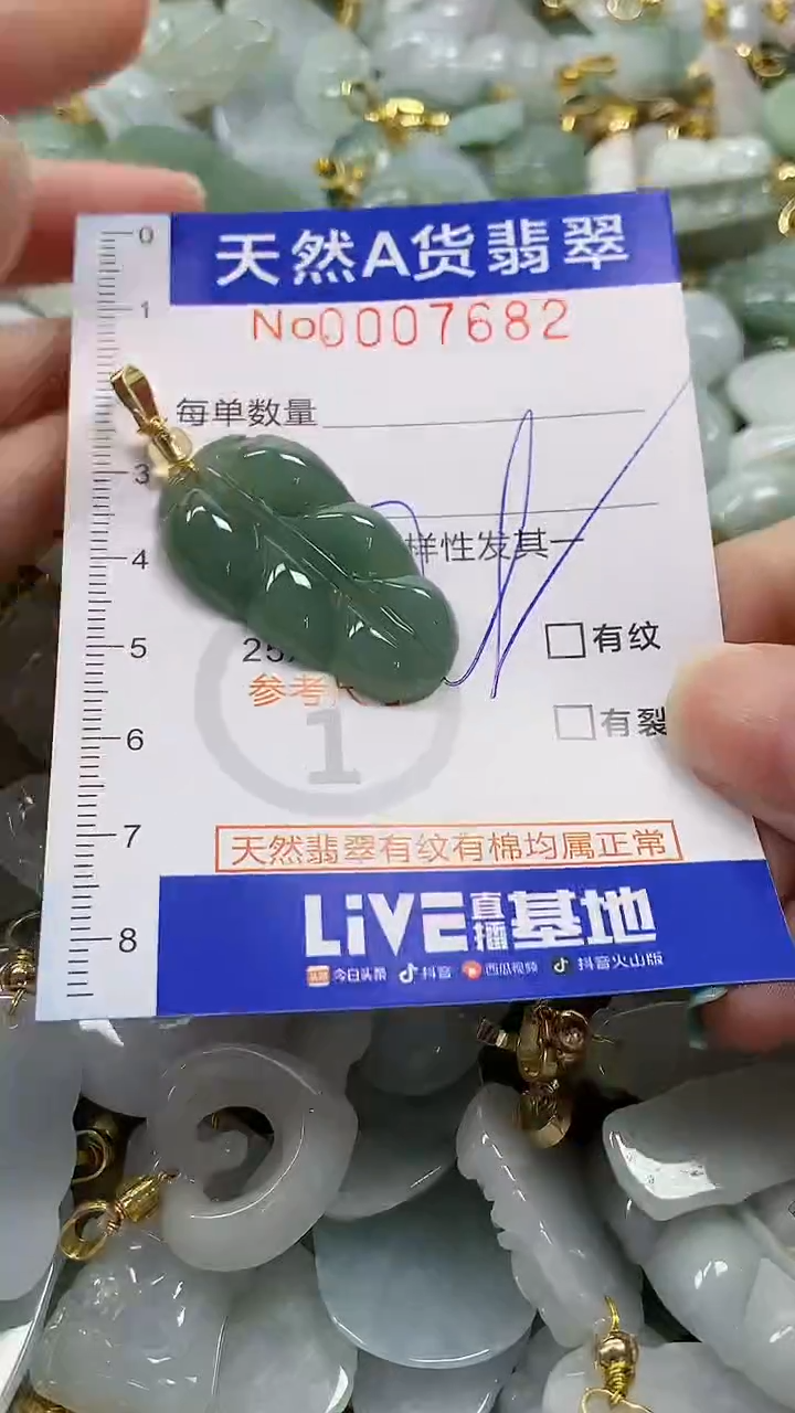 颈饰未镶嵌翡翠纯天然a货翡翠