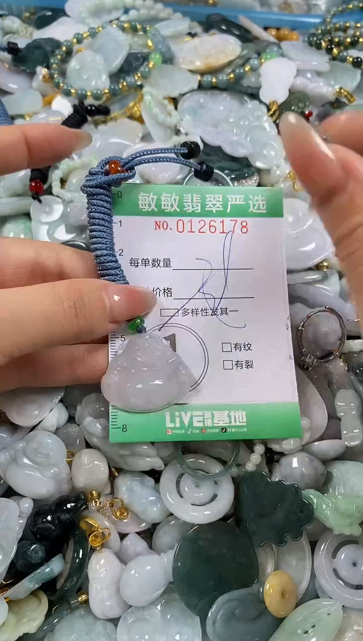 【闪购商品】翡翠颈饰未镶嵌闪购0126178多样性发其一