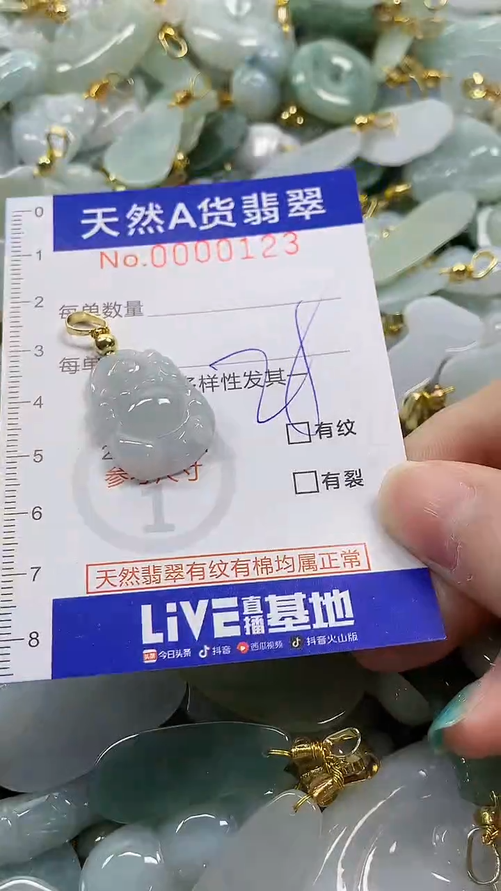 颈饰未镶嵌翡翠天然A货翡翠