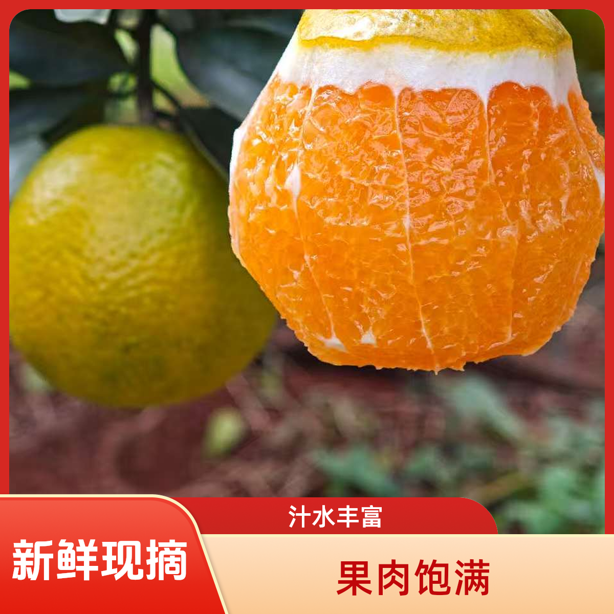 海南红光香橙香飘万家澄迈福橙/富硒/清甜多汁/皮薄肉厚/新鲜水果