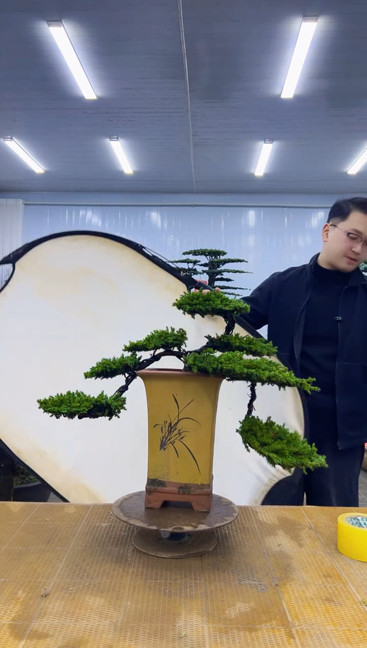 无花朵000000000000000