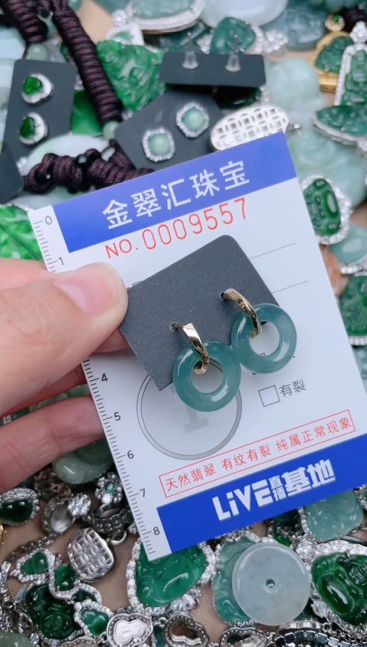 【闪购商品】翡翠颈饰未镶嵌9557.......