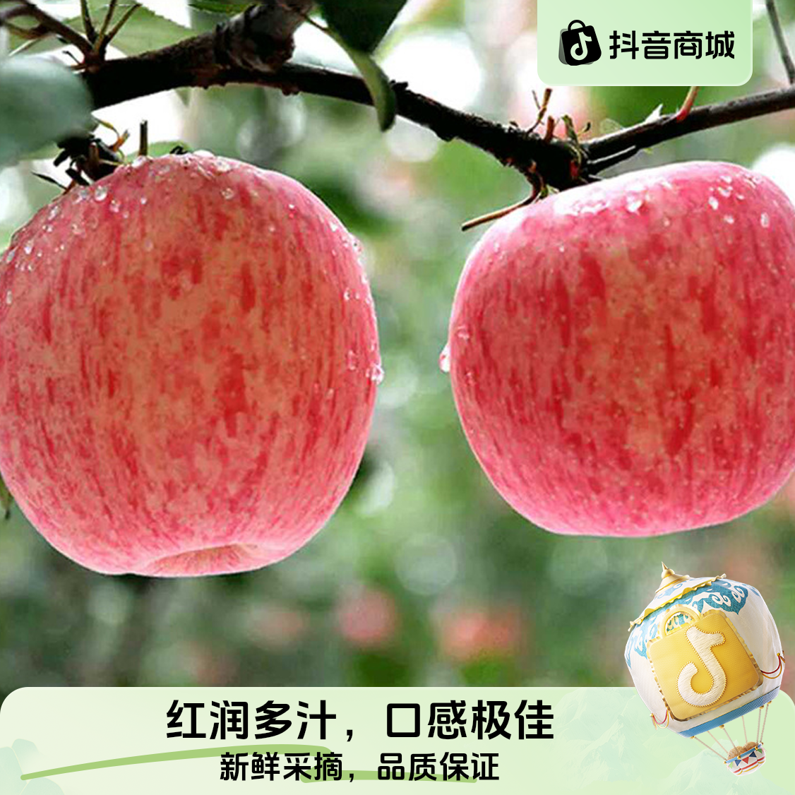 02苹果红富士水晶富士栖霞苹果发带箱5斤整发（7-9）个果