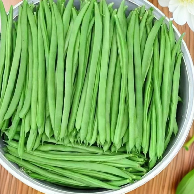 云南露天自种四季豆新鲜脆嫩多汁现摘现发发货 家常菜炒菜