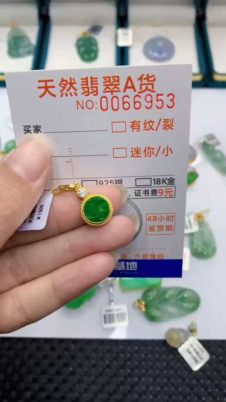 【闪购商品】翡翠颈饰银S925镶嵌            8