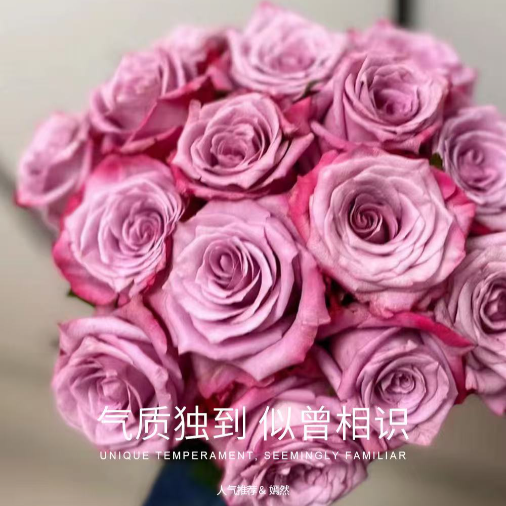 花無凡【嫣然单头玫瑰10支】【3单送配草，5单送配花】