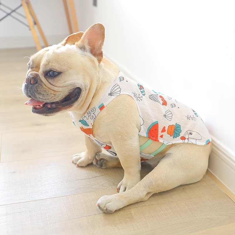 狗狗夏季透气防晒衣服背心狗狗猫咪薄款泰迪柯基博美宠物两脚服饰