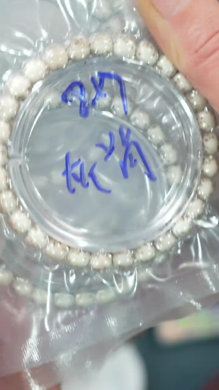 【闪购商品】星月菩提手串净庄阁文玩