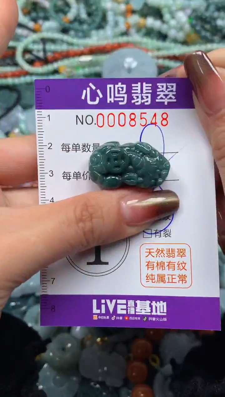 颈饰未镶嵌翡翠闪购008548