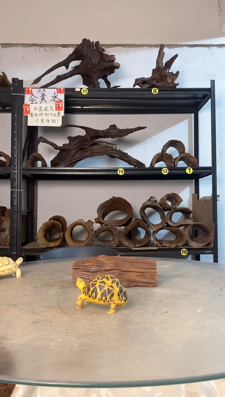 L****0鱼缸爬宠造景素材715