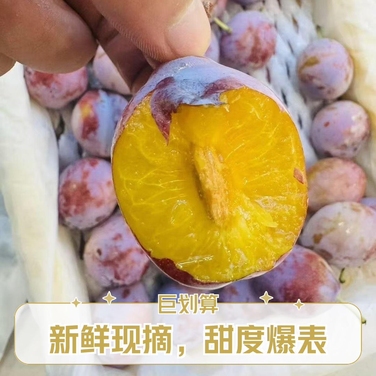 新疆法兰西西梅