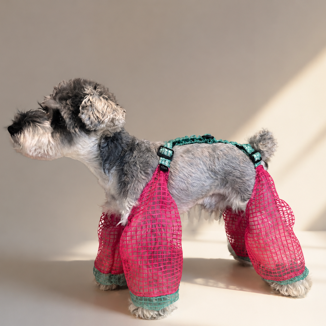 狗狗衣服夏季透气雪纳瑞比熊泰迪柴犬西高地防脏裤透气