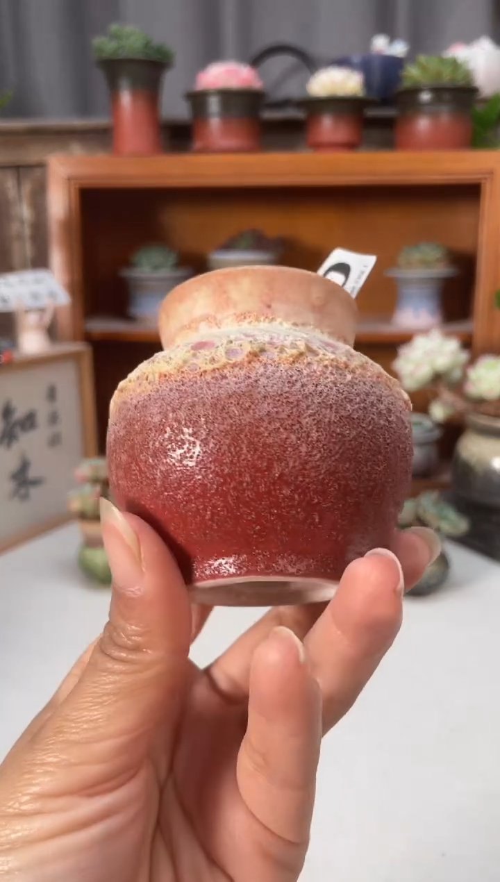 瓷片800知木小芳花盆