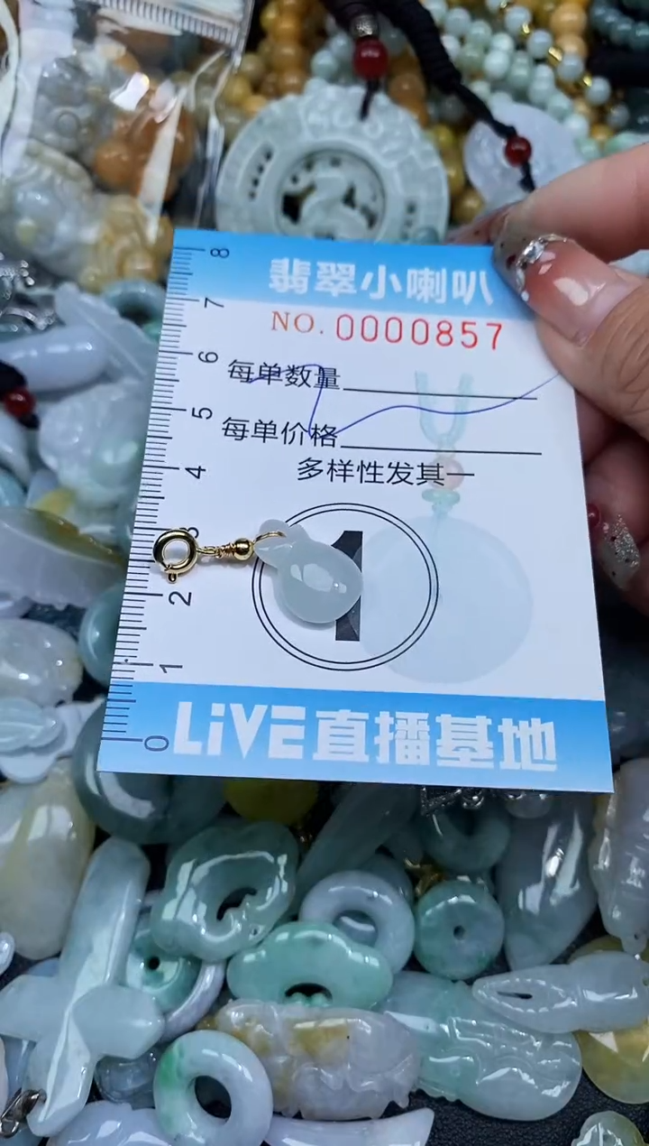 【闪购商品】翡翠颈饰未镶嵌闪购0000857