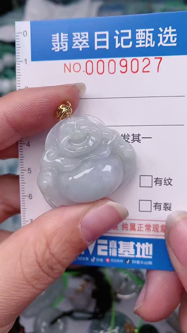 【闪购商品】翡翠颈饰未镶嵌00009027
