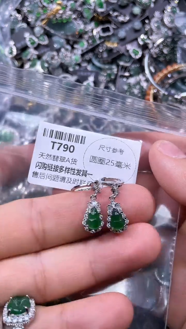 【闪购商品】翡翠颈饰未镶嵌T790耳扣