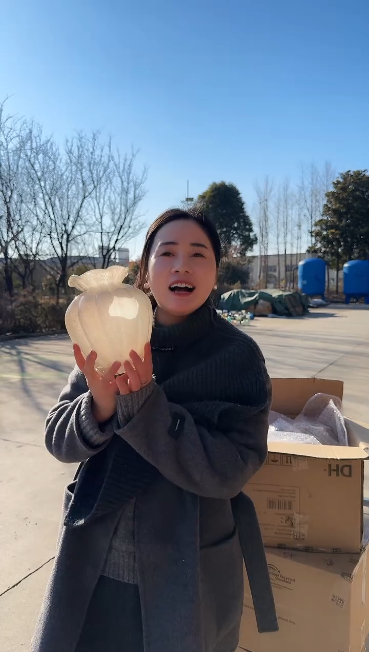 私花主义花瓶-SDFS2154w