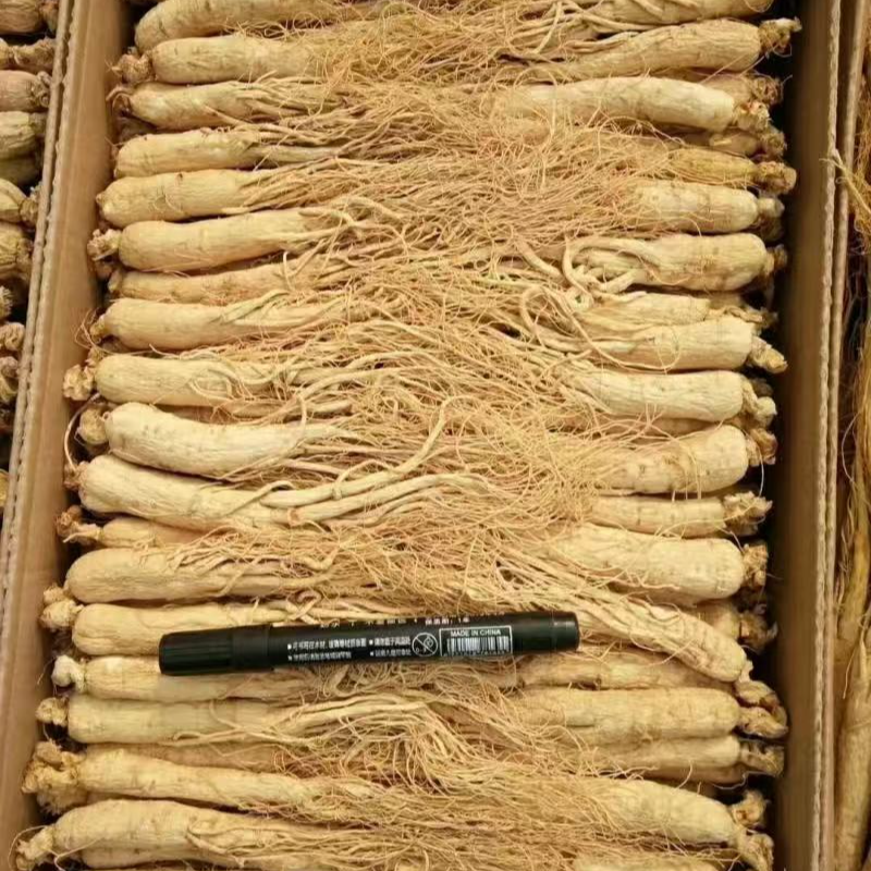 长白山生晒参，高年头干参，滋补首选包邮