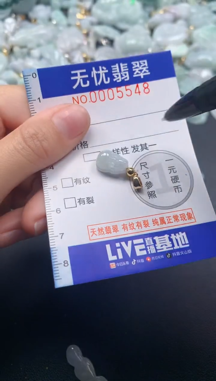 颈饰未镶嵌翡翠5548