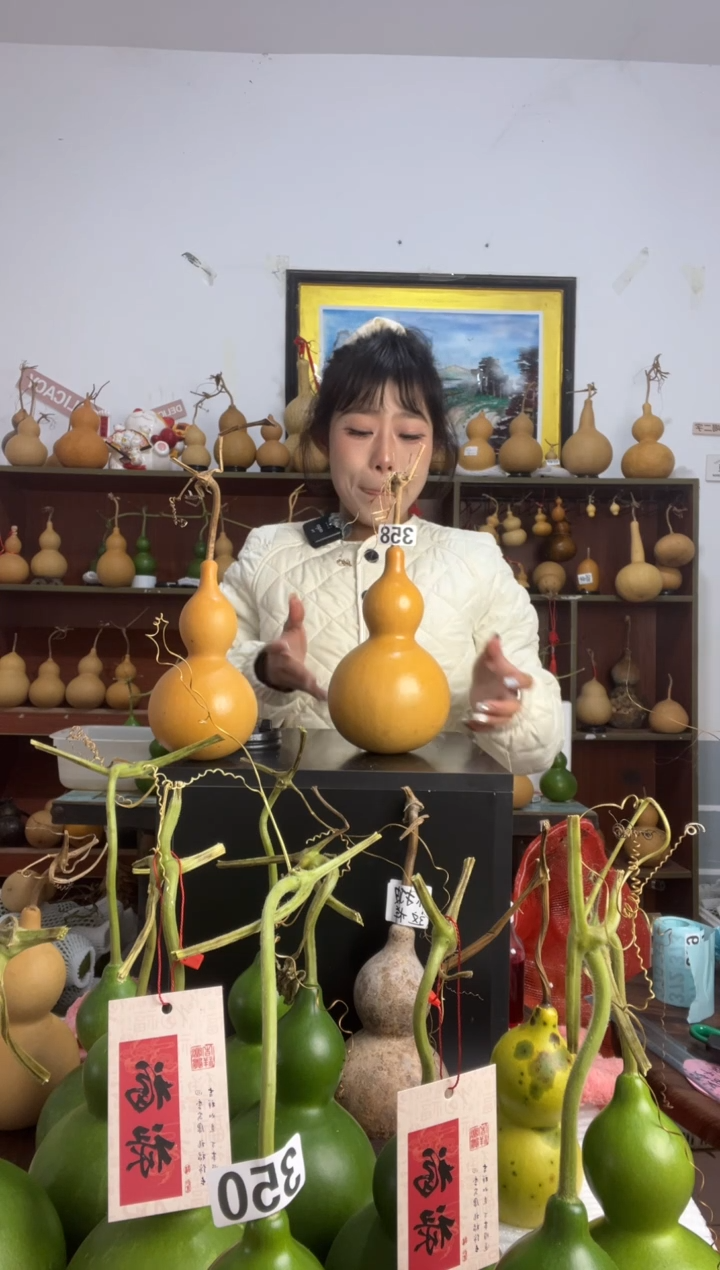 林**起358天然葫芦摆件 一物一拍龙头不保售后