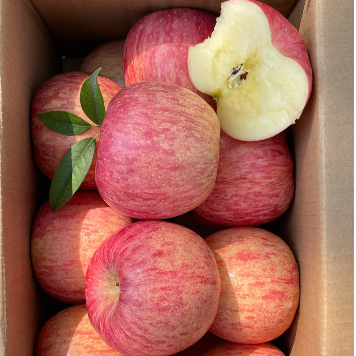 【新果】正宗红富士苹果脆甜多汁产地直达新鲜应季水果生鲜