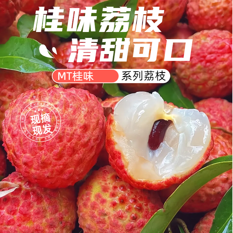 【生鲜冷链】HG广东茂名桂味荔枝一口爆汁现摘现发到手5斤桂味