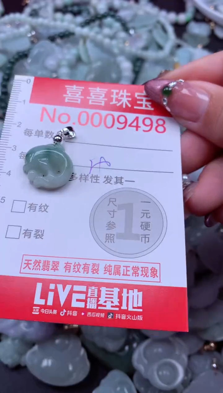 颈饰未镶嵌翡翠9498