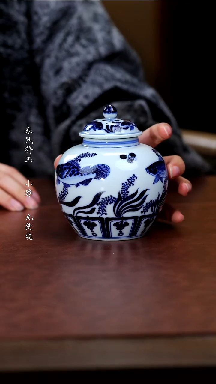 陶瓷春风青花鱼藻罐