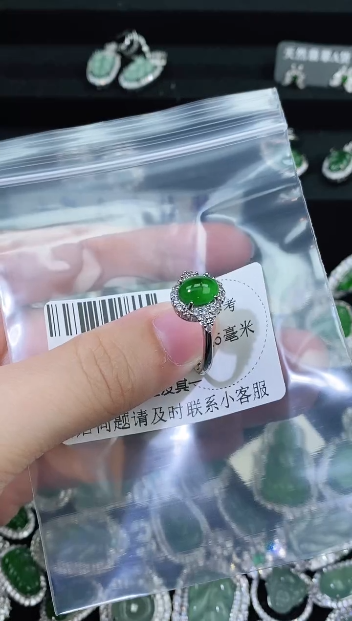 翡翠未镶嵌颈饰精美翡翠-多样性只发一件G738