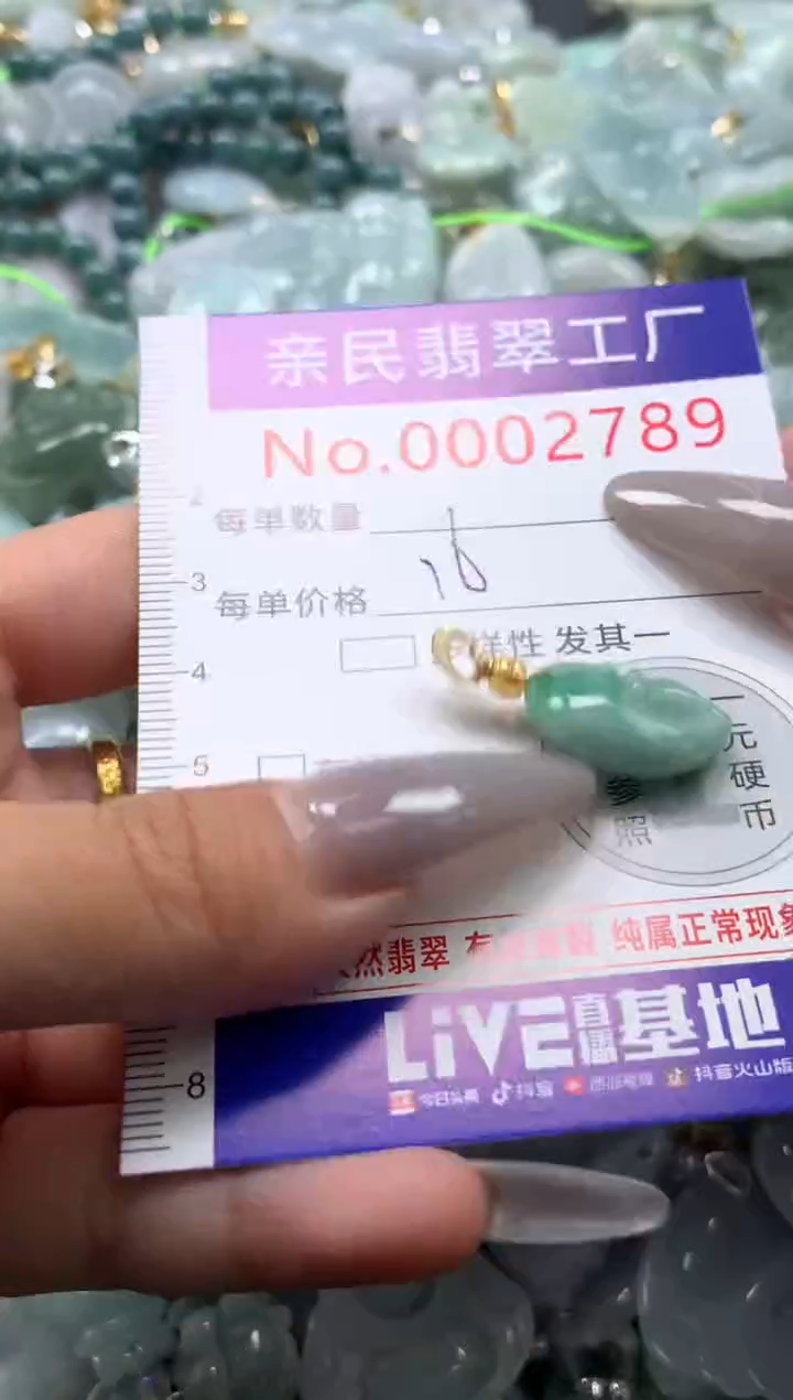 颈饰未镶嵌翡翠2789