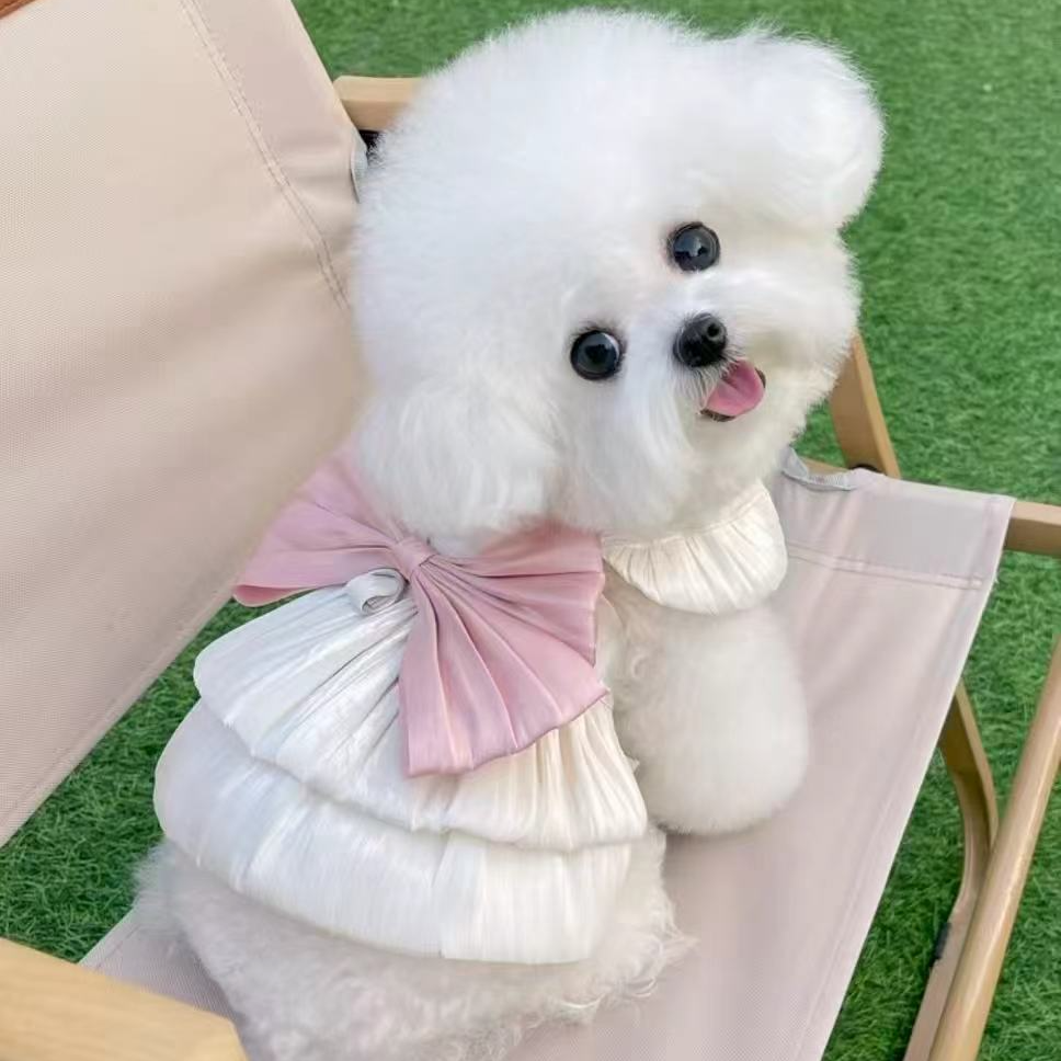 自选宠物博美比熊泰迪 带小衣服tt5