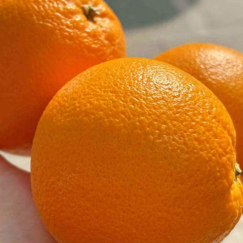 蜂蜜橙 甜 水分足