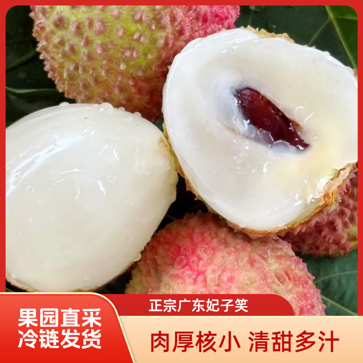 正宗广东妃子笑荔枝 冷链发货 果园直采肉厚核小新鲜现摘应季水果