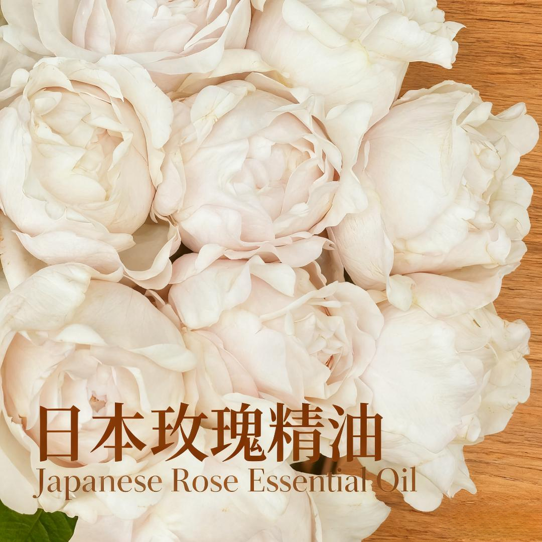 日本玫瑰单方精油   