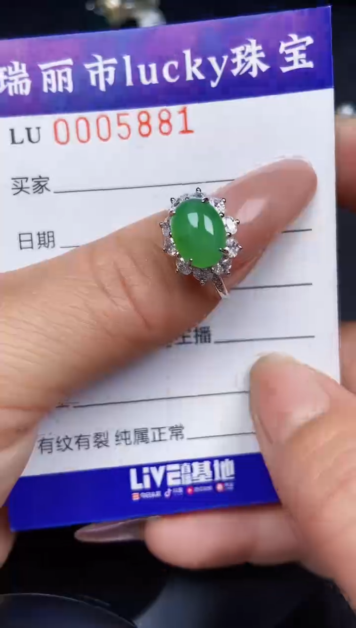 翡翠银S925镶嵌颈饰5881