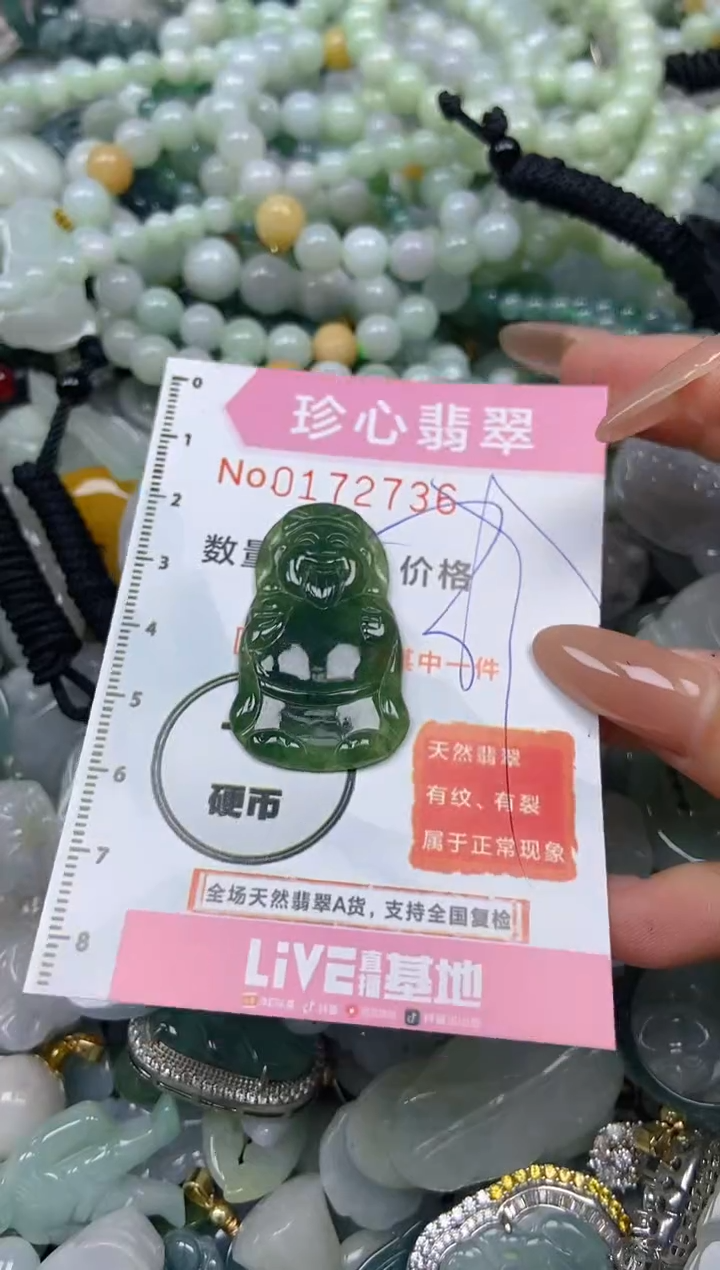 【闪购商品】翡翠颈饰未镶嵌闪购0172736