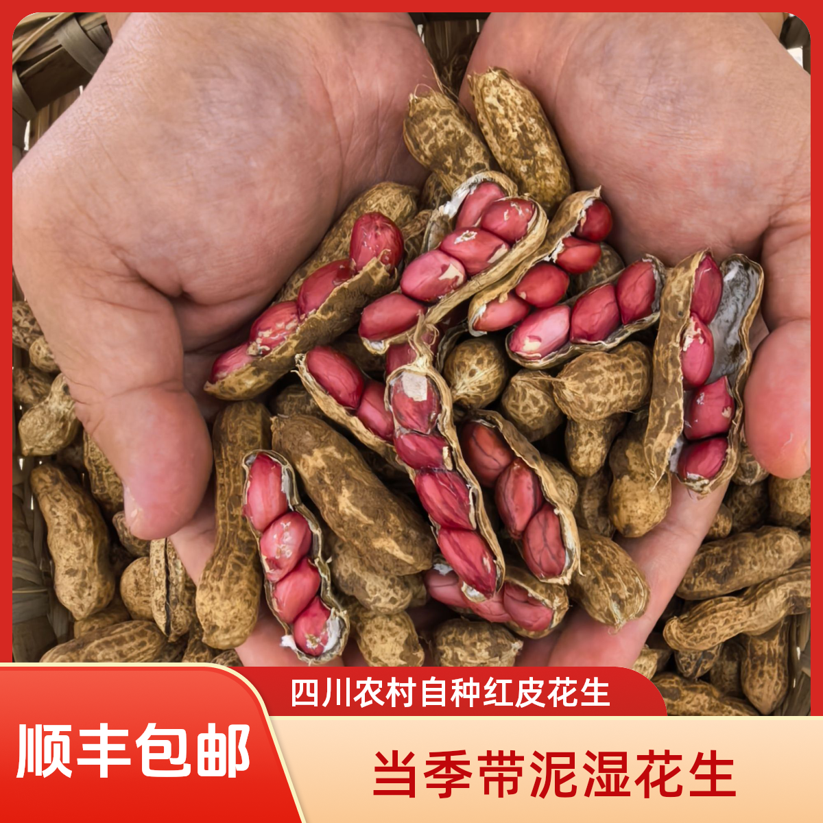 四川农家自种红皮湿花生 当季新鲜带泥带壳 可水煮 顺丰包邮 