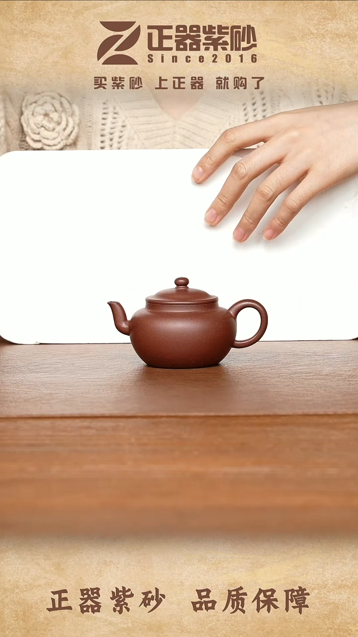 茶壶紫砂金海晶 金铭 底槽清120cc