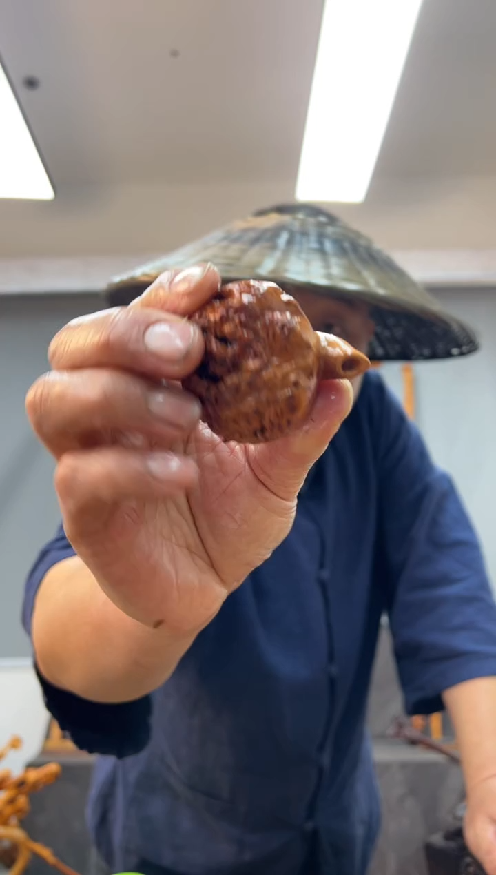 【闪购商品】黑果木其他黑果木879