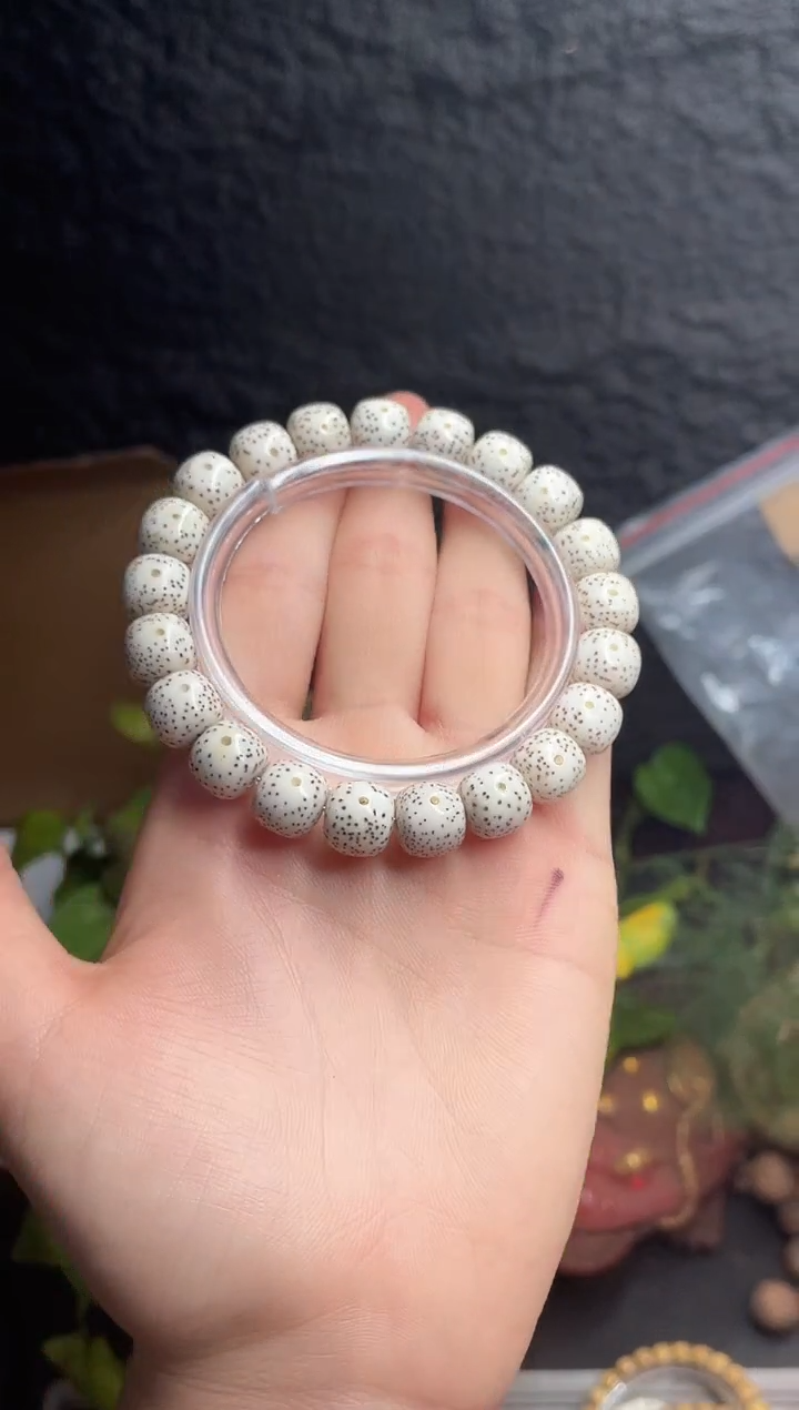 星月菩提手串海南星月菩提《F024》11X10单圈