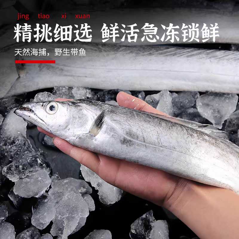 福建船捕白眼中规格带鱼全国顺丰包邮送货到家