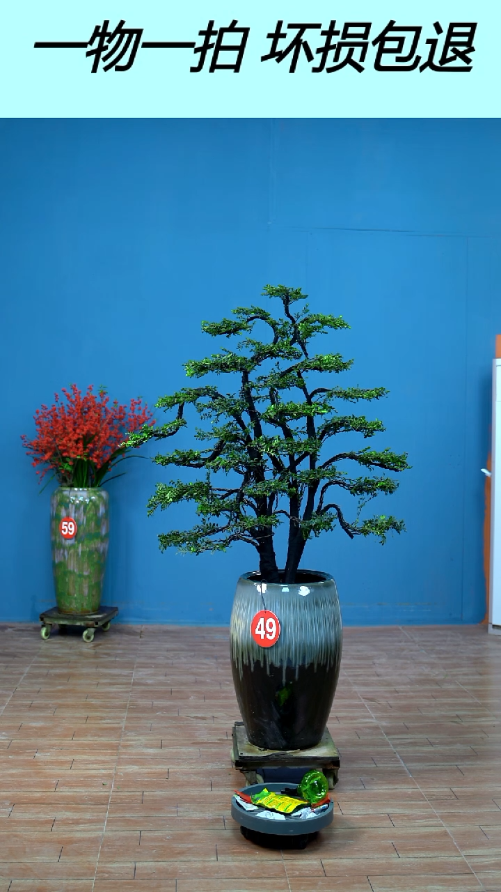 以实际为准用****1广东小叶紫檀