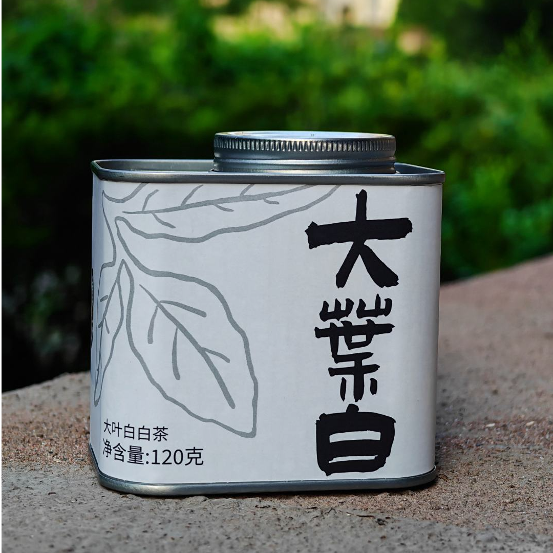 大叶白 大叶种古树白茶 云南大叶白白茶