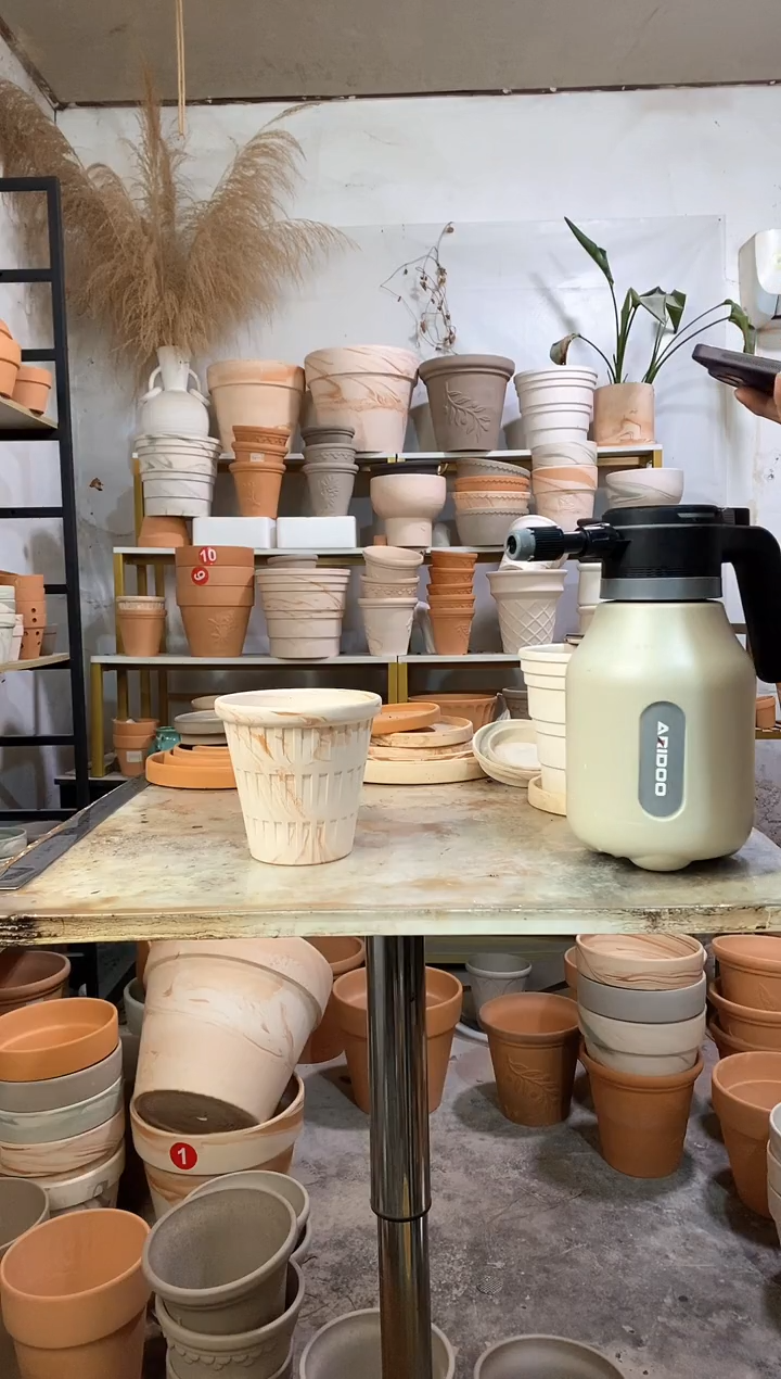 福利13*13玛奇朵万神 1盆无托